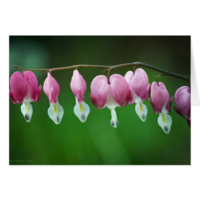 ピンクのチャームカード (正面横)