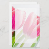 ピンクのチューリップと緑離れの写真 便箋 (正面/裏面)