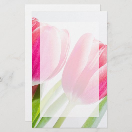 ピンクのチューリップと緑離れの写真 便箋 (正面/裏面)
