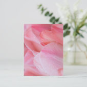 ピンクのチューリップのドロップレットがクローズアップ ポストカード (スタンド正面)