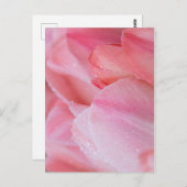 ピンクのチューリップのドロップレットがクローズアップ ポストカード (正面/裏面)