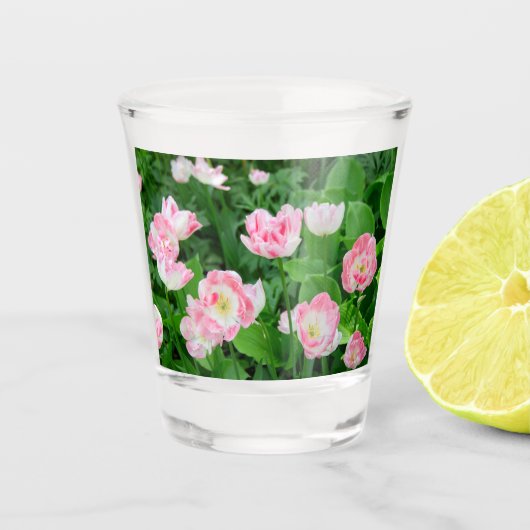 ピンクのチューリップのフィールド ショットグラス (正面)