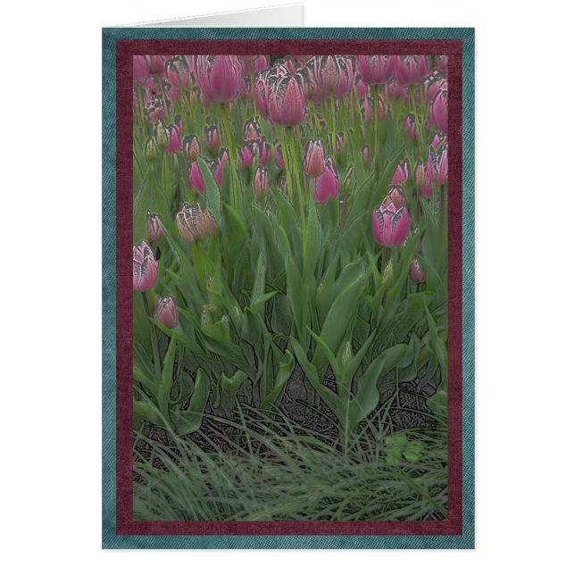 ピンクのチューリップの分野 (正面)