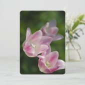 ピンクのチューリップの招待 招待状 (スタンド正面)