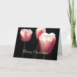 ピンクのチューリップの花が3本。 クリスマス、休日。 シーズンカード