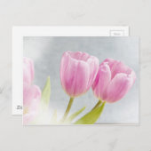 ピンクのチューリップの花の花びら ポストカード (正面/裏面)