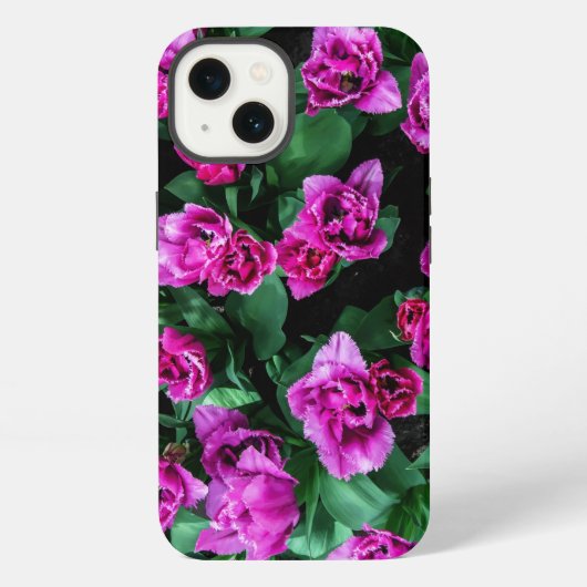 ピンクのチューリップの花 iPhoneケース (裏面)