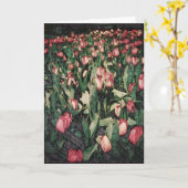 ピンクのチューリップのBalnkの挨拶状の分野 カード (黄色い花)