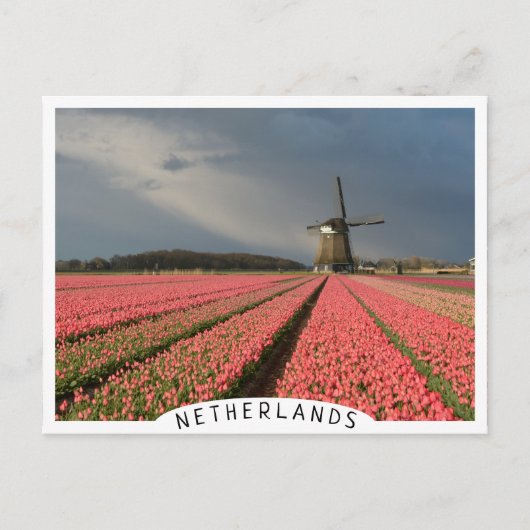 ピンクのチューリップを持つ春 ポストカード (正面)