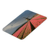 ピンクのチューリップを春した風車 マグネット (左側)