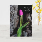 ピンクのチューリップオンドリフトウッド悔やみや弔慰 カード (黄色い花)
