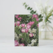 ピンクのチューリップフォトアート ポストカード (スタンド正面)