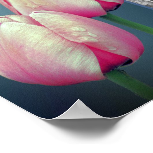 ピンクのチューリップフラワーフレームあなたの写真を追加 ポスター (角)