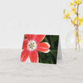 ピンクのチューリップライト カード (黄色い花)