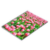 ピンクのチューリップ畑 ノートブック (左側)