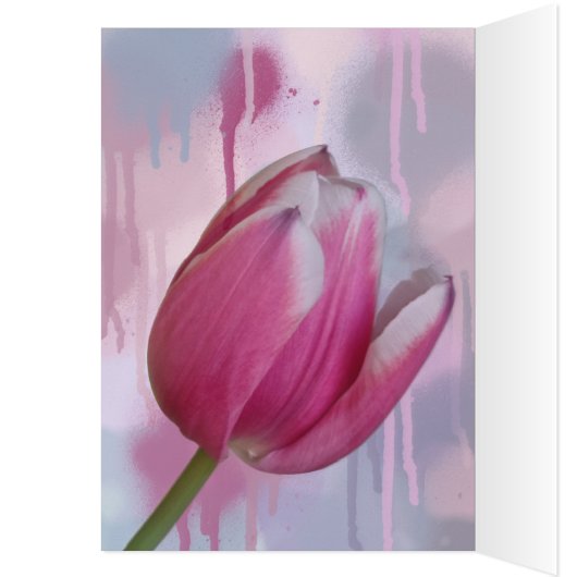 ピンクのチューリップ絵を描のバックグラウンドとカスタム文字 (内側 (左))