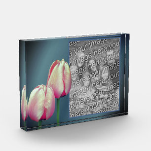 ピンクのチューリップ花あなた自身を追加 フォトブロック