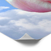 ピンクのチューリップ青い空と白い雲 ポスター (角)