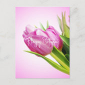 ピンクのチューリップ シーズンポストカード (正面)