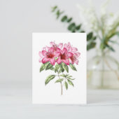 ピンクのツツジのヴィンテージ植物画 ポストカード (スタンド正面)