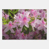 ピンクのツツジの低木 春の花 ラッピングペーパーシート (正面3)