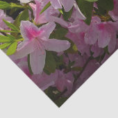 ピンクのツツジの茂み 春の花 薄葉紙 (詳細)