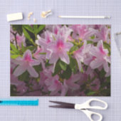 ピンクのツツジの茂み 春の花 薄葉紙 (クラフト)