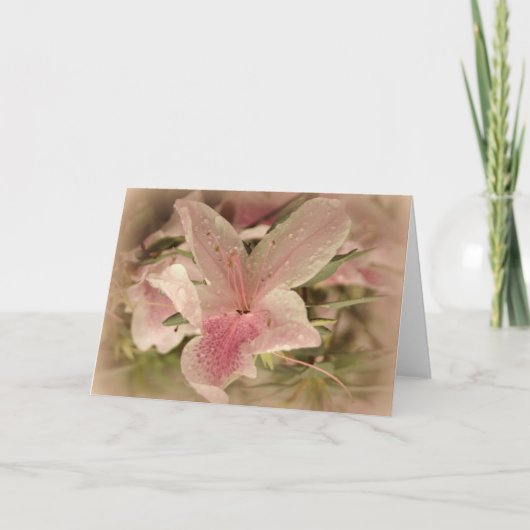 ピンクのツツジ サンキューカード (正面)