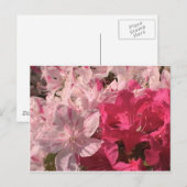 ピンクのツツジ ポストカード (正面/裏面)