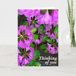 ピンクのツツツジの花、素朴な裏庭の木目 カード