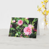 ピンクのツバキの挨拶状 カード (黄色い花)