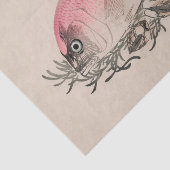 ピンクのティッシュペーパーの日本のな魚 薄葉紙 (詳細)