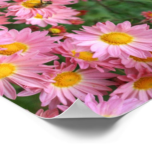 ピンクのデイジーとのまわりに抽象芸術 ポスター (角)