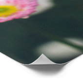 ピンクのデイジーと緑の庭のパンジー ポスター (角)