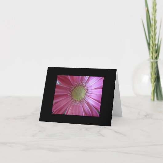 ピンクのデイジーの美しさ カード (正面)