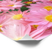 ピンクのデイジーの花とのまわりに8 x 10 フォトプリント (角)
