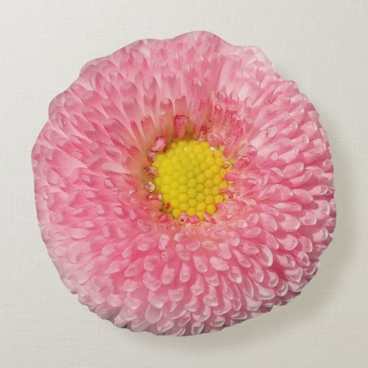 ピンクのデイジーの花の美しいの円形のクッション ラウンドクッション (裏面)