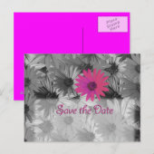 ピンクのデイジー保存日 案内ポストカード (正面/裏面)