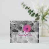 ピンクのデイジー保存日 案内ポストカード (スタンド正面)