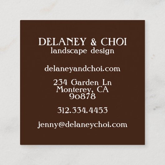 ピンクのデイジー写真ランドスキャッパーガーデンワイルドフラワー スクエア名刺 (裏面)