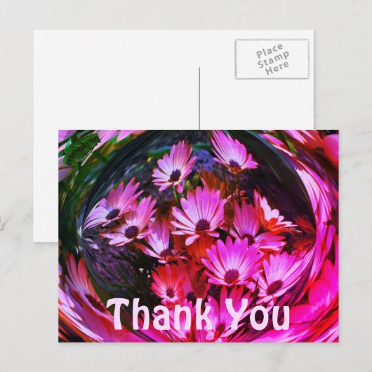 ピンクのデイジー アブストラクト フラワー サンクス ポストカード (正面/裏面)