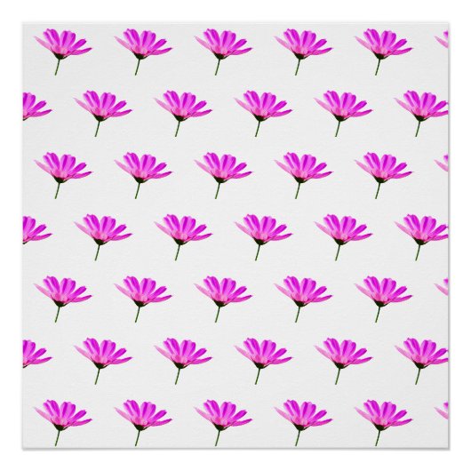 ピンクのデイジー   ポスター (正面)