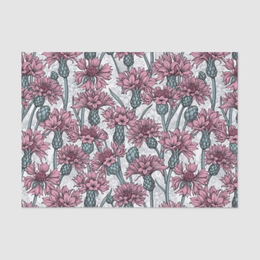 ピンクのトウモロコシの花、白い上に野生の花 薄葉紙 (正面)