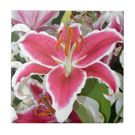 ピンクのトウヨウユリの花 タイル (正面)