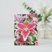 ピンクのトウヨウユリの花 ポストカード (スタンド正面)