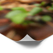 ピンクのトリリウムフラワー ポスター (角)