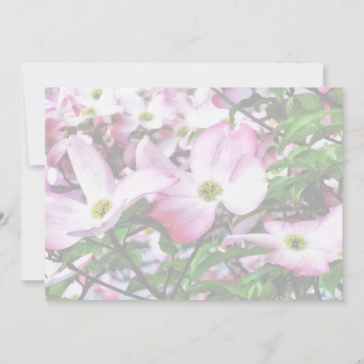 ピンクのドッグウッド結婚が商品を花開く 招待状 (裏面)
