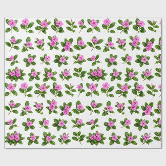 ピンクのニチニチソウの花の植物画セット Sadabahar ラッピングペーパー