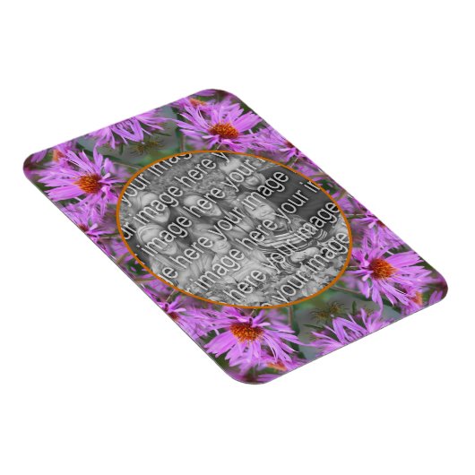 ピンクのニューイングランドのアスター花あなたの写真を追加 マグネット (右側)