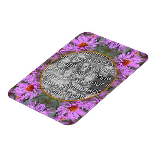 ピンクのニューイングランドのアスター花あなたの写真を追加 マグネット (左側)